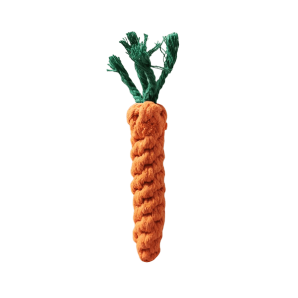 3 2 - Carrot