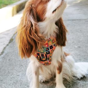 IMG 20220518 183044 301 - Adjustable Dog Harness - Pixelverse