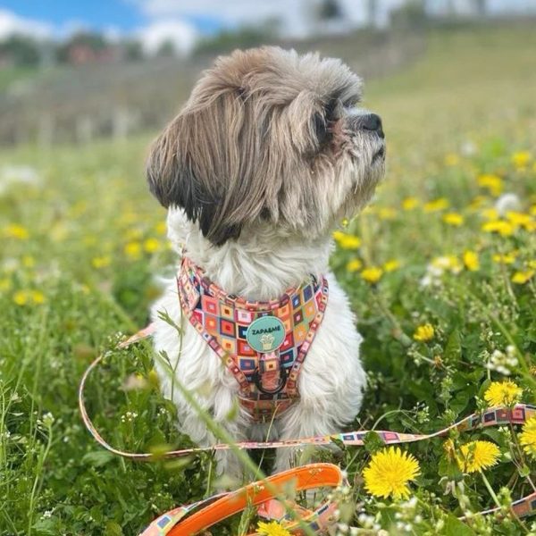 IMG 20220519 160118 758 - Adjustable Dog Harness - Pixelverse