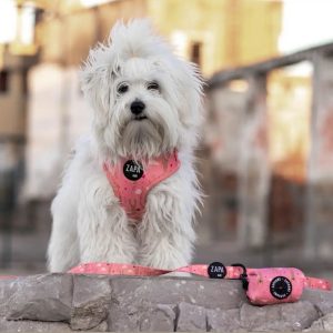 Screenshot 20211124 143641 com.instagram.android edit 14410866969155 - XXS | XS | S | M - Oh Bunny