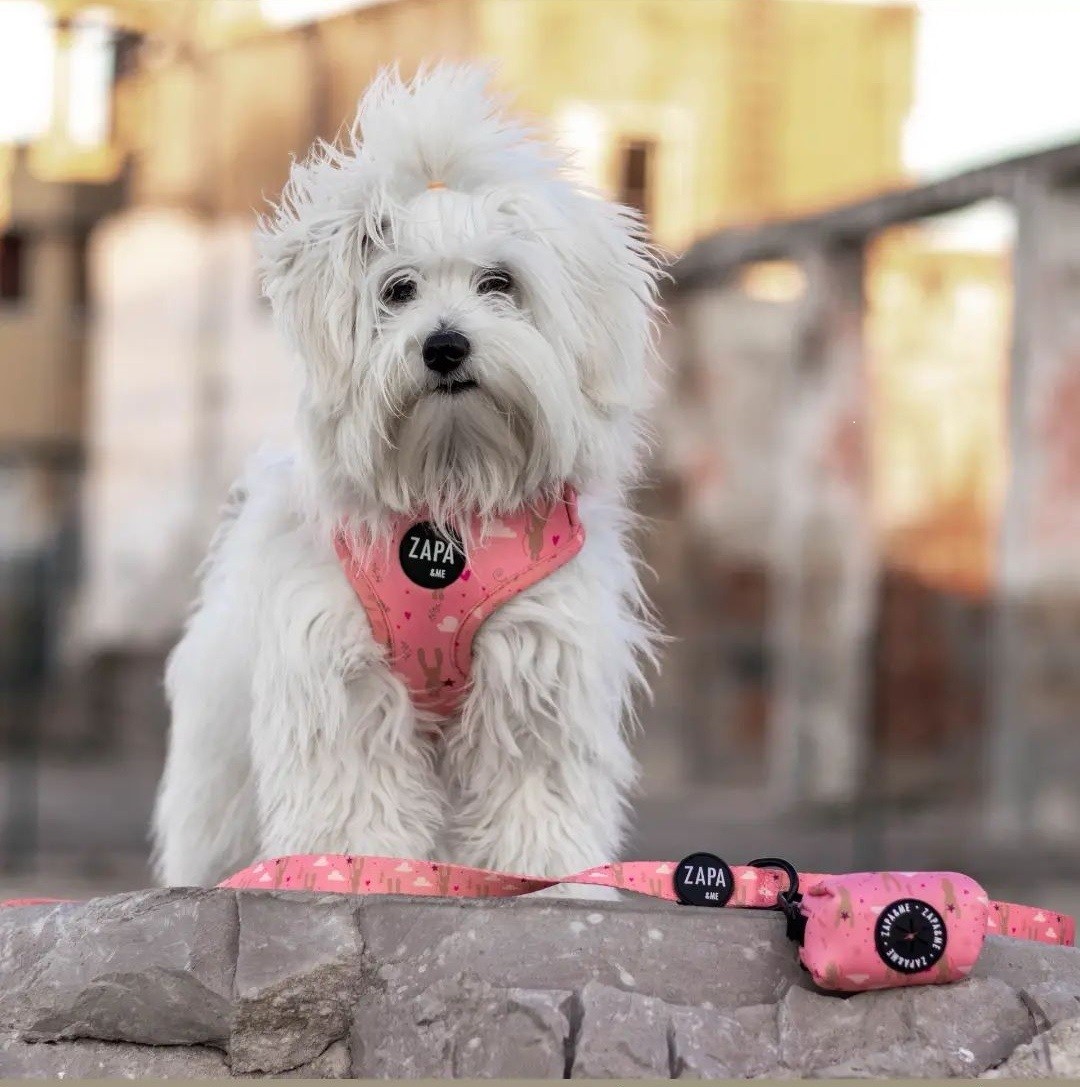 Screenshot 20211124 143641 com.instagram.android edit 14410866969155 - XXS | XS | S | M - Oh Bunny