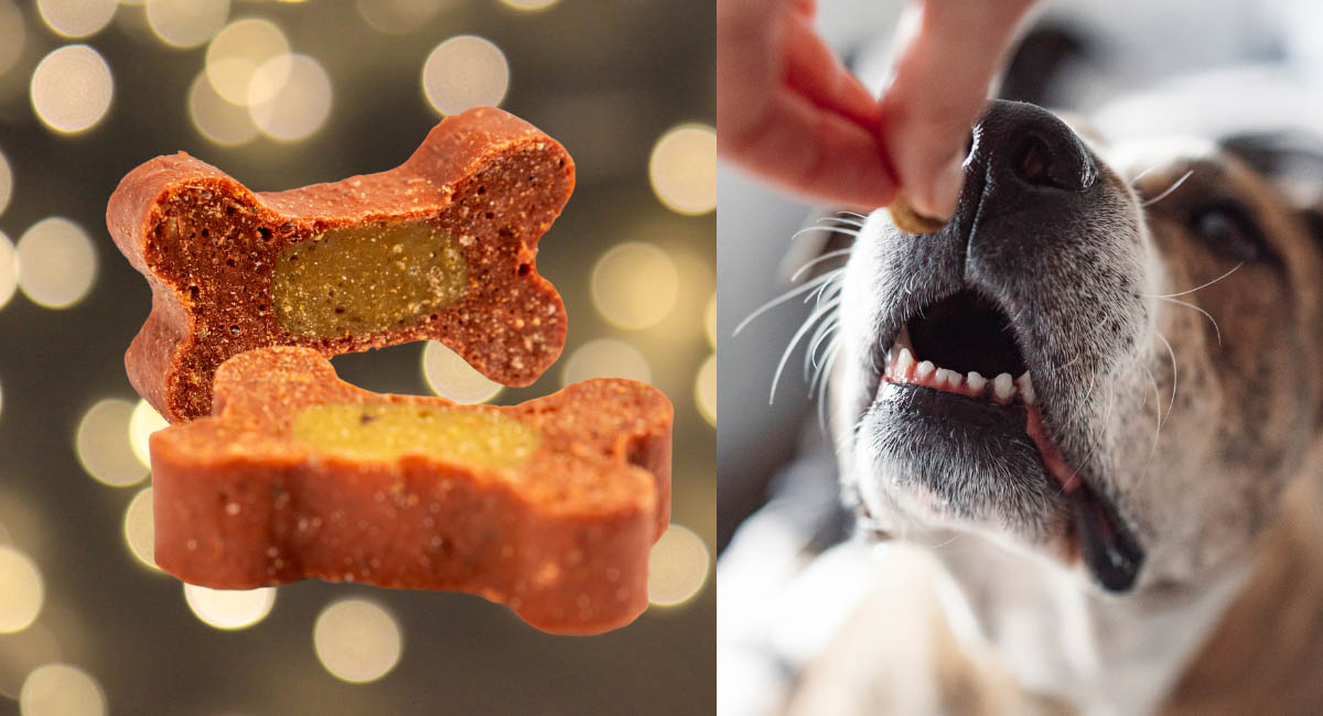 Crafting a Delicious Christmas treats for Your Dog med tekstom - Crafting a Delicious Christmas treats for Your Dog