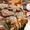 Crafting a Delicious Christmas treats for Your Dog naslovna slika - Crafting a Delicious Christmas treats for Your Dog